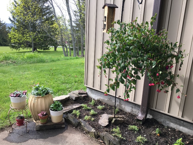 Photo - 1049 Danby Rd