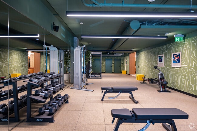Fitness