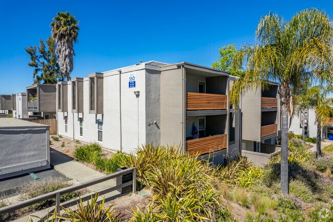 Bayside Apartments