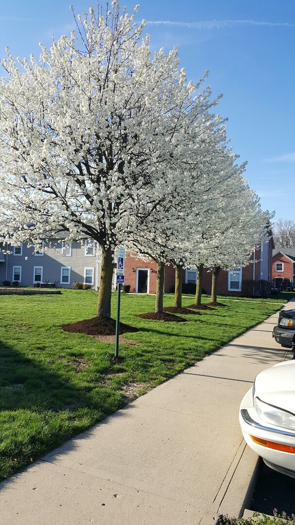 Photo - 185 - COUNTRY VIEW APARTMENTS