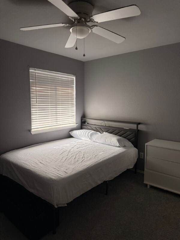 Photo - 4912 Donegal Bay Ct