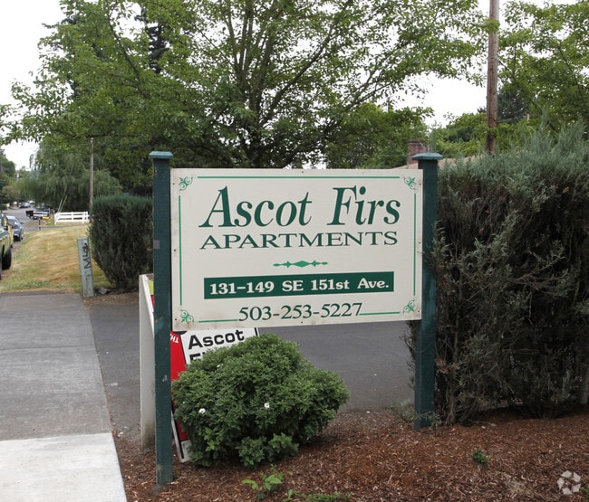 Ascot Firs
