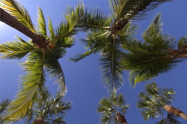 Photo - 7155 Miami Lakes Dr Unit P4