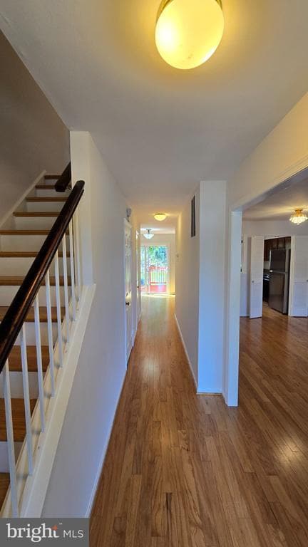 12151 Stallion Ct