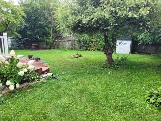 Photo - 31 Tunis Ave