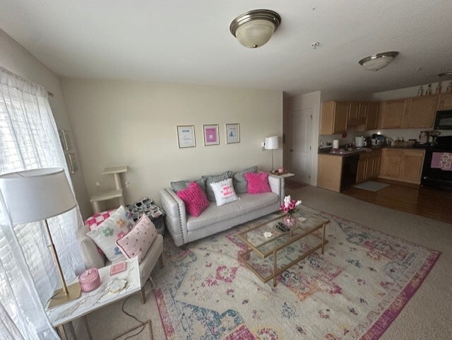 Living Room - Turtle Creek West Apartments