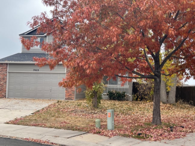 Photo - 7023 Bonnie Brae Ln