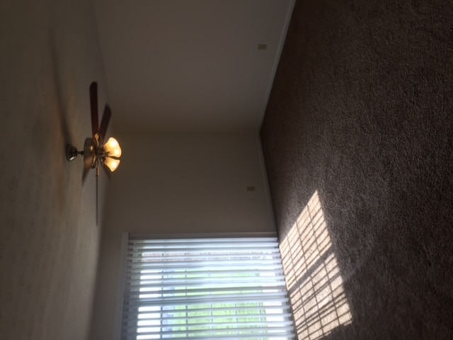 Photo - 401 Brunswick Dr Unit 3