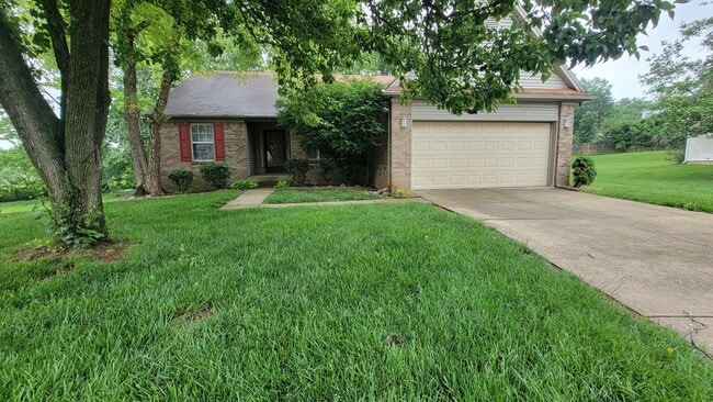 Building Photo - Fabulous 3 bedroom 3 bath walk- out ranch