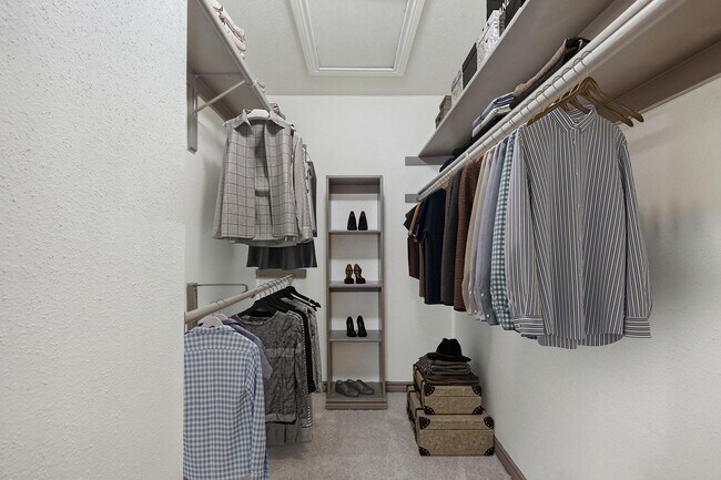 Spacious bedroom closet