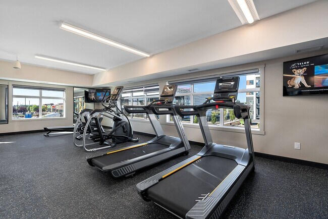 Photo - The Fifth at Palisades