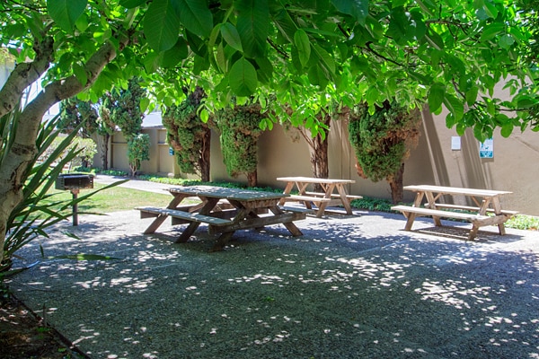 BBQ Grilling & Picnic Area