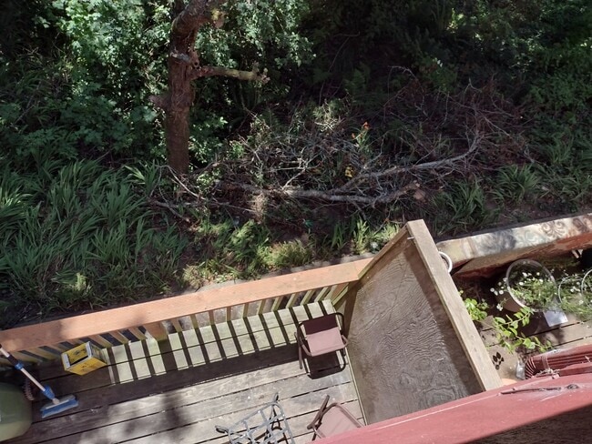 upstairs bedroom window view - 1043 Vine Ave Unit 1043