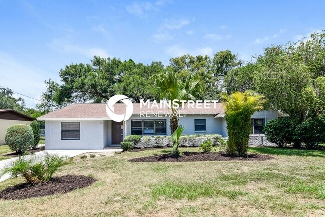 Building Photo - 4 Bedroom Pet-Friendly Home in BRANDON, FL...