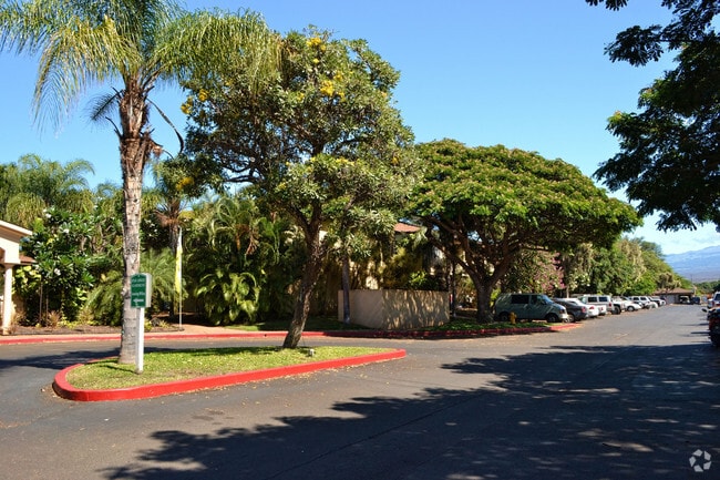 Photo - Paradise Gardens Apartments