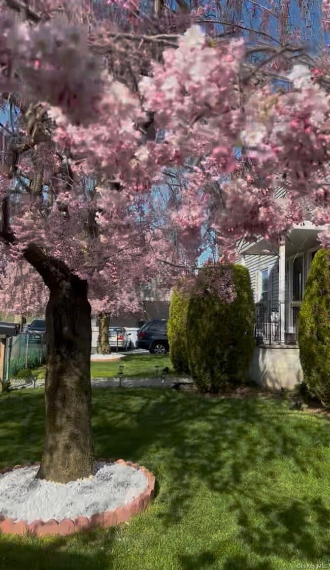 Photo - 7 White Plains Ave