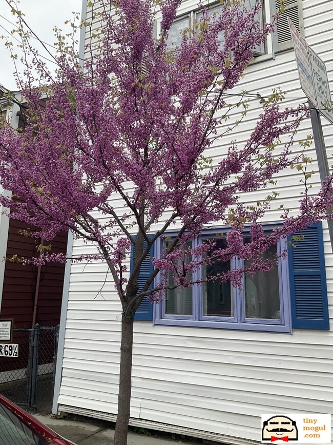 Photo - 67 Gore St