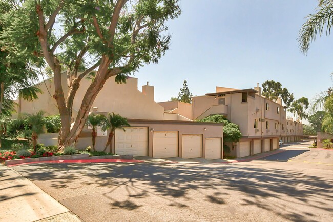 Photo - The Terrace Apartments