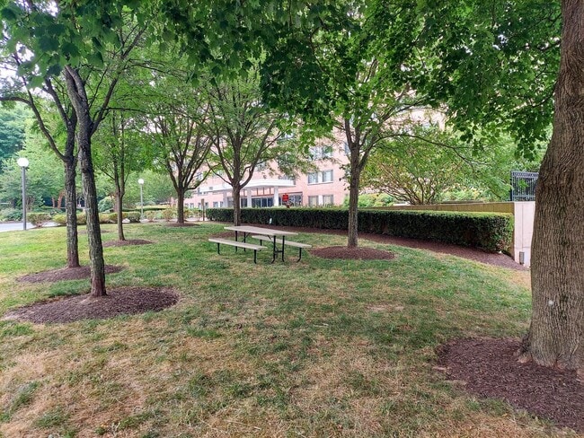 Photo - Spacious 1br/1bth Condo minutes from Downtown Silver Spring! Unit 308