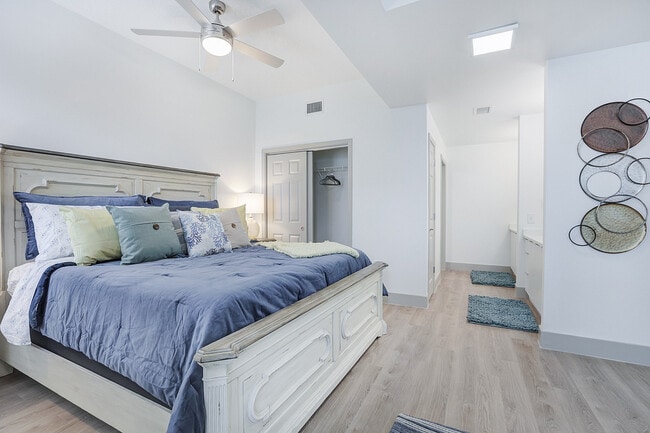 Modern Layouts, Natural Light