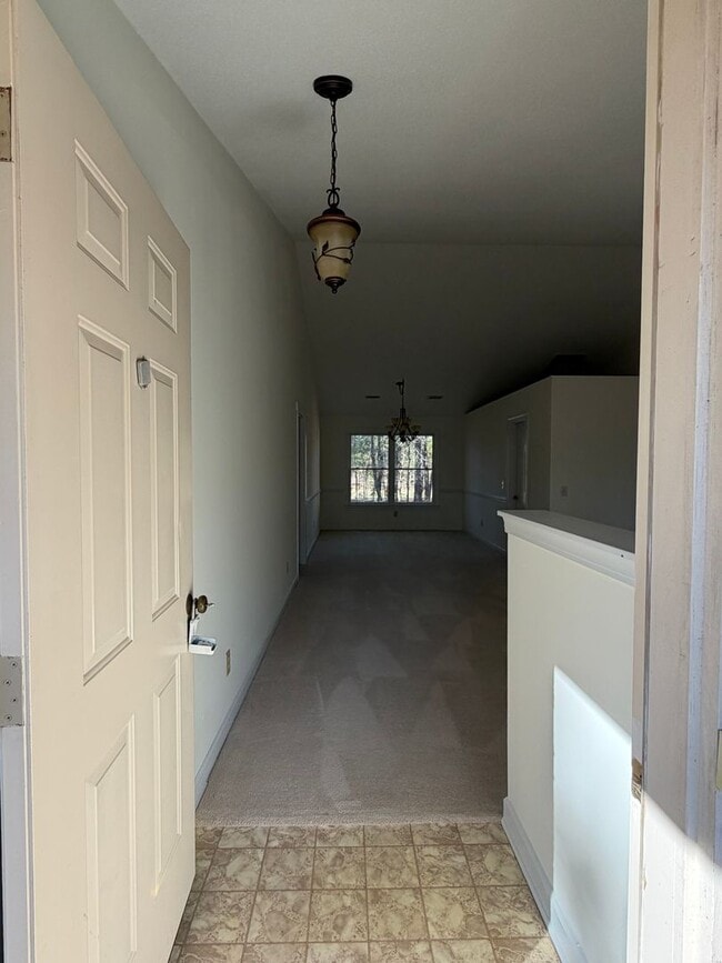 Photo - Carolina Lakes!!