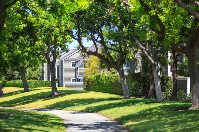 Windwood Glen Apartment Homes