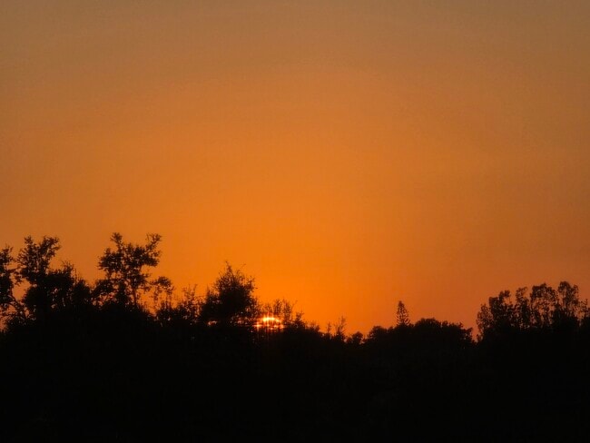 Sunset view from Livingroom - 2901 26th St W Unit 502