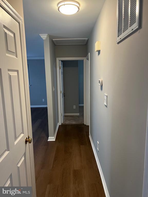 Building Photo - 11211 Surry Woods Ct