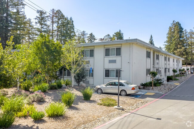 Photo - Westwood Ambassador