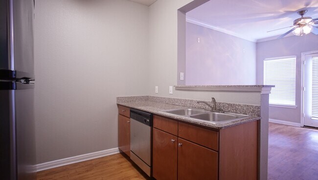 Photo - 1/1 in West Campus Unit 513