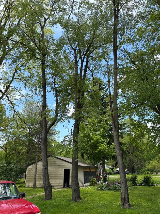 Photo - 5145 Patterson St