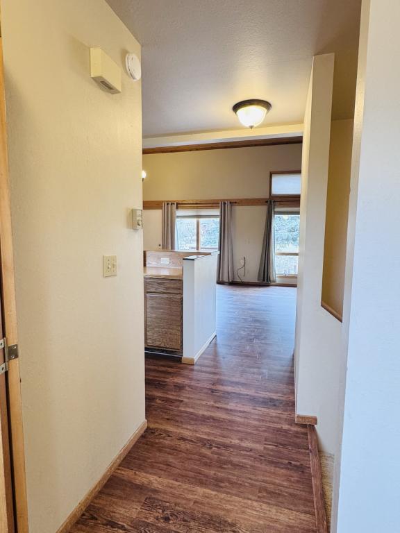 Photo - 2433 Sunlight Cir