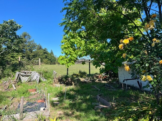 Photo - 20 Eucalyptus Rd