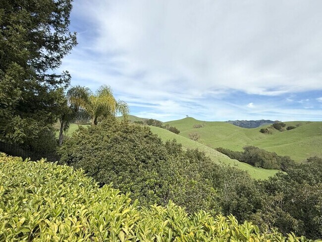 Photo - Beautiful custom one story estate located on one of the most desirable streets in Blackhawk Count...