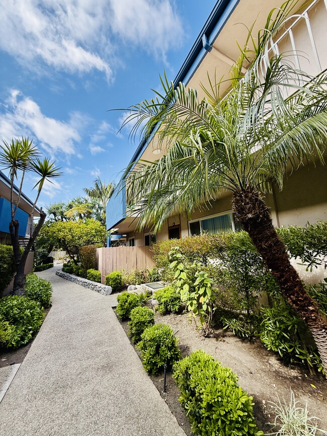 Building Photo - Ocean Villas Apartments
