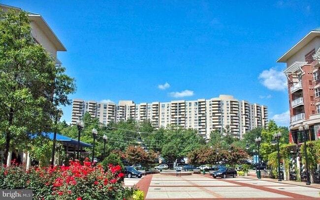 Building Photo - 1101 S Arlington Ridge Rd Unit 704 Rental