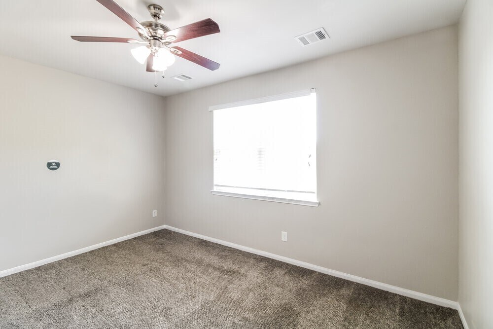 Photo - 10323 Leafy Autumn Path