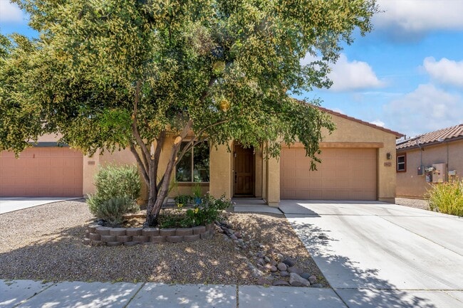 Building Photo - 8623 N Western Juniper Terrace Rental