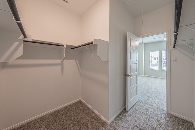 Photo - 3113 Pecan Farm Ln