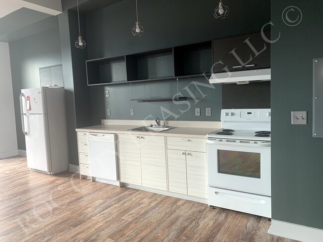 155 Saint Paul #512 Kitchen - Hive@155 and Hive Andrews