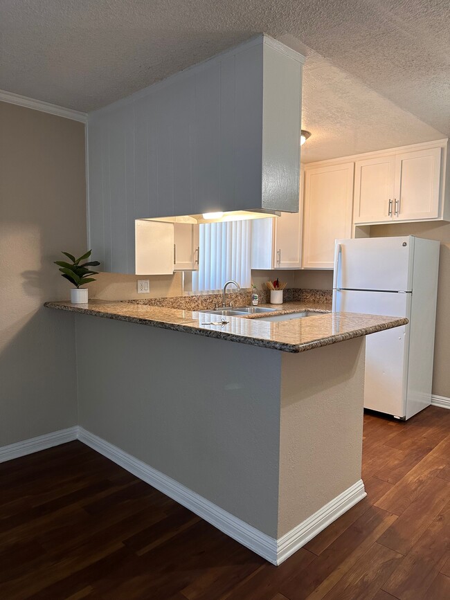 Photo - Palma Imperial