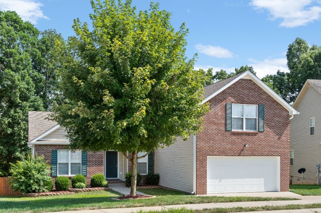 Photo - 3519 Oak Creek Dr