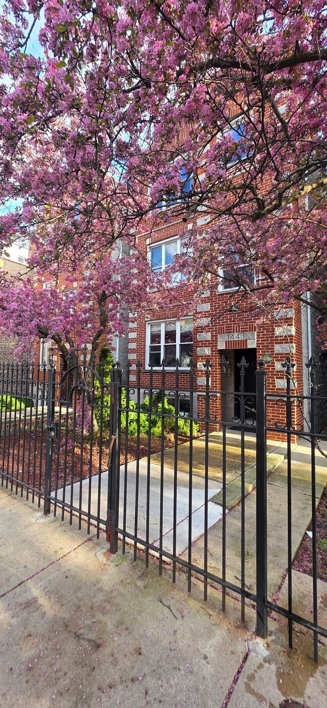 Building Photo - 1443 W Walton St