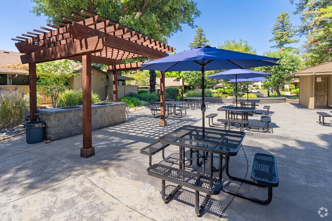 PICNIC & BBQ AREA