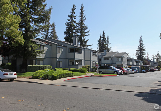 Maple Ridge Apartments - Maple Ridge Apartments