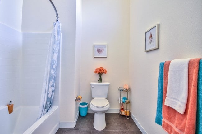 Photo - The Essential