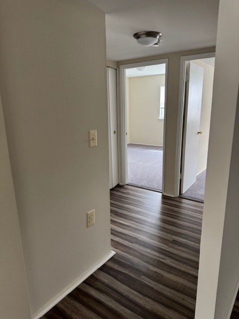 Building Photo - Pickwick Apartments