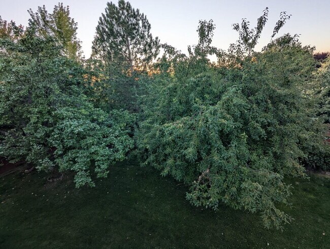 Photo - 6193 S Kelton Pl