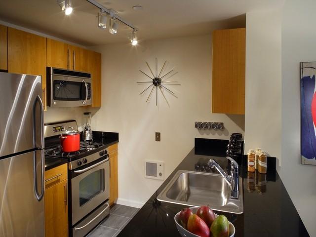 1 bedroom in Queens NY 11109 - 1 bedroom in Queens NY 11109 Unidad 1515 Rental