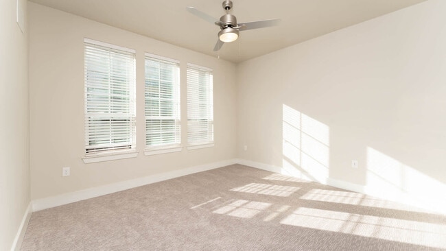 Habitación alfombrada